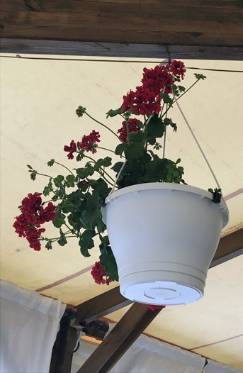 Palm-Beach-Los-Monteros-Chiringuito-Marbella