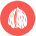 frutos-cascara-icono frutos-cascara-icono